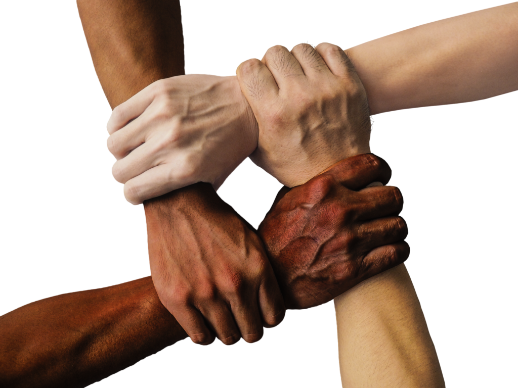 accompagnement professionnel